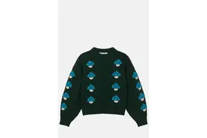 Merino Wool Embroidered Sweater - Mushroom Motif Cropped for OEM